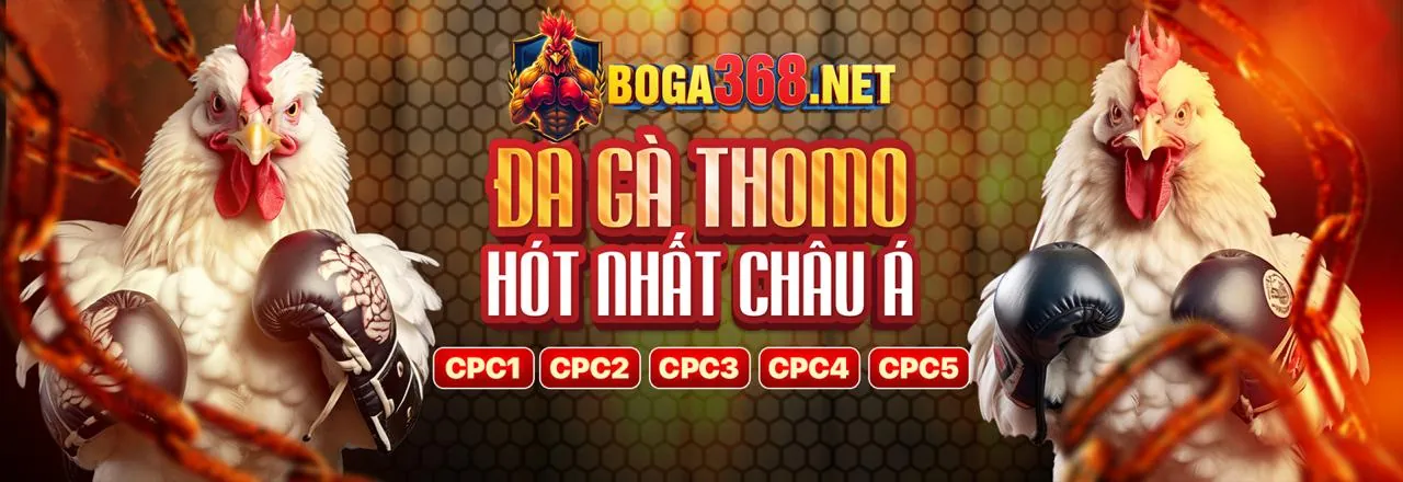Đá gà trực tuyến trên ứng dụng 39go99 App iOS